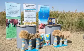 Рост агросектора в Алматинской области