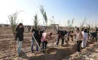 Посадка деревьев в Таразе в рамках экологической кампании Таза Қазақстан