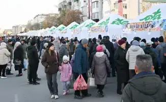 Праздник урожая: сельскохозяйственная ярмарка наполнила областной центр дарами природы