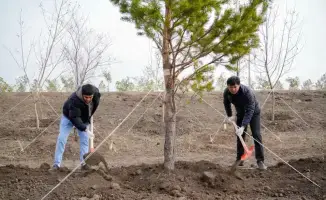 Зеленый след интеллигенции: поэты сажают деревья!