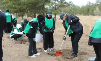 В Актау области под руководством губернатора высажено 1350 деревьев в рамках экологической инициативы