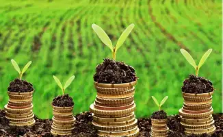 Льготное кредитование и субсидирование в АПК Казахстана