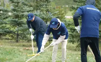 Экологическая акция в Казахстане более 600 тысяч участников высадка 180 тысяч деревьев