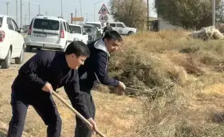ТУРКЕСТАН: МЕЖДУНАРОДНОЕ УЧАСТИЕ В СУББОТНИКЕ В ЖЕТЫСАЙСКОМ РАЙОНЕ В РАМКАХ ПРОГРАММЫ «ТАЗА ҚАЗАҚСТАН»