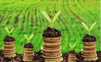 Кредиты под 5%: новый шанс для аграриев!