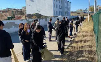 14 тысяч деревьев: зелёный след в Ұлытау!