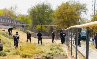 В Шардаре прошёл субботник с участием почти 4000 человек, высажено 997 деревьев и передано 15 единиц техники коммунальному предприятию