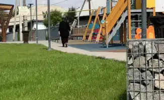 Турксибский район: Оазис новых прогулочных зон к Дню Республики