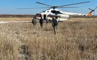 Авиарейд как мера защиты природы: контроль за соблюдением экологических норм