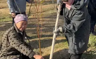 В селе Бодене посеяны зелёные надежды: более тысячи деревьев для чистоты родного края