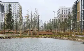 Астана обновила 170 дворовых и общественных пространств с высадкой более миллиона деревьев и кустарников