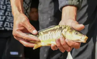 В Балхашском районе завершилось зарыбление Шагырайской озёрной системы, выпущено 100 тысяч мальков