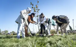 Конкурс чистоты в Жетісу наградил лучшие села и районные центры