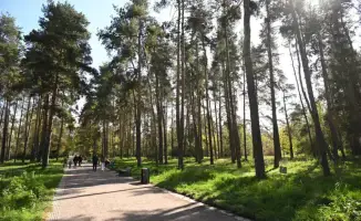 Обновление зелёной зоны в Алмалинском районе