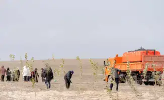 Экологическая программа Таза Қазақстан 44 мероприятия 227 тыс жителей 10 275 организаций