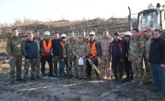 Леса Павлодарской: возрождение после огненной битвы