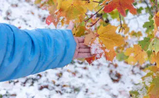 Холод спустится: Казахстан готовится к выхолаживанию