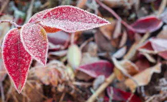 Казахстан: морозы до 13°C и ясное небо в октябре
