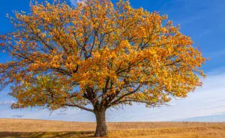 Резкие перепады температуры: в Казахстане от морозов до -9°C до тепла +27°C