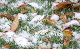 Прогноз погоды в Казахстане: юг до +22, север со снегом и морозом 3 октября