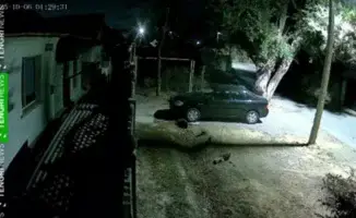 Землетрясение в Казахстане 6 октября: паника и качающиеся люстры в видео очевидцев