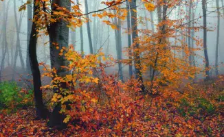 Штормовые предупреждения в Казахстане: возможные последствия для Астаны и регионов 12 октября