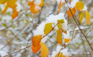 Резкий перепад погоды: снег и заморозки в Казахстане 4 октября