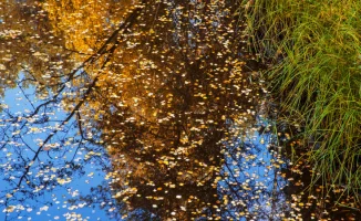 Казахстан: от холода к теплу — где ждать перемен?