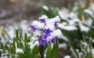 Казахстан под снежным одеялом: как морозы укроют страну в преддверии осенних перемен