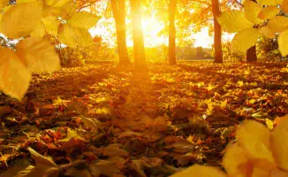 Казахстан: Дневное тепло и ночные морозы — погода как игра контрастов на сцене октября