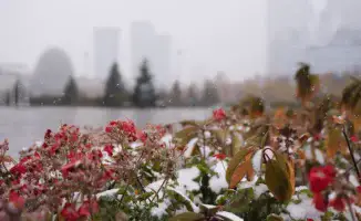 В Астане ожидается первый снег: синоптики прогнозируют осадки в конце октября