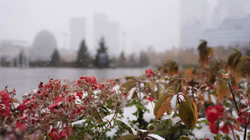В Астане ожидается первый снег: синоптики прогнозируют осадки в конце октября Астане