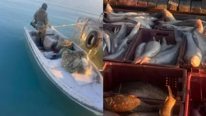 Задержание браконьеров на озере Балхаш с уловом 252 кг рыбы Астане