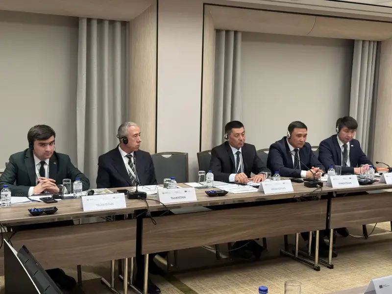 Казахстан на заседании PROTECT в Стамбуле Астане