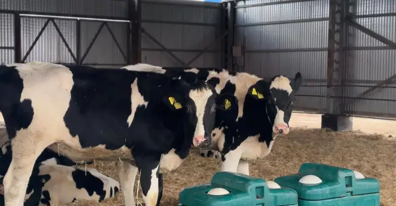 Significant Investment in Agricultural Support in Aktobe Region: 15 Billion Tenge Allocated for 2025 Астане