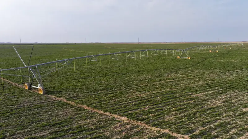 ? Туркестанская область достигла новых результатов в аграрном секторе (4)