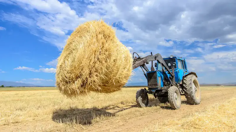 В Жетісу объем переработки производимой в регионе продукции достиг 68% (9)