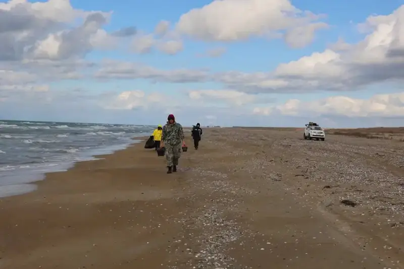 НА ПОБЕРЕЖЬЕ КАСПИЙСКОГО МОРЯ ОБНАРУЖЕНЫ ТУШИ 112 ТЮЛЕНЕЙ (5)