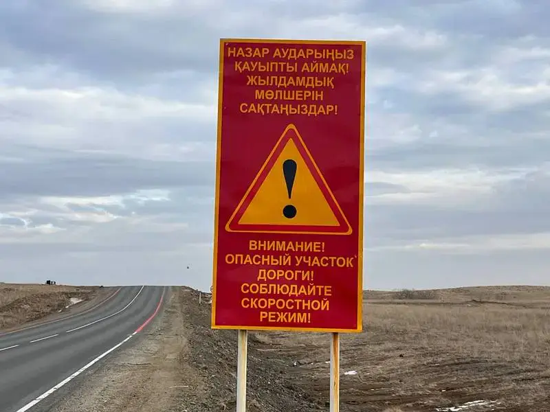 В Карагандинской области определили семь опасных участков дорог, где чаще всего происходят ДТП (2)