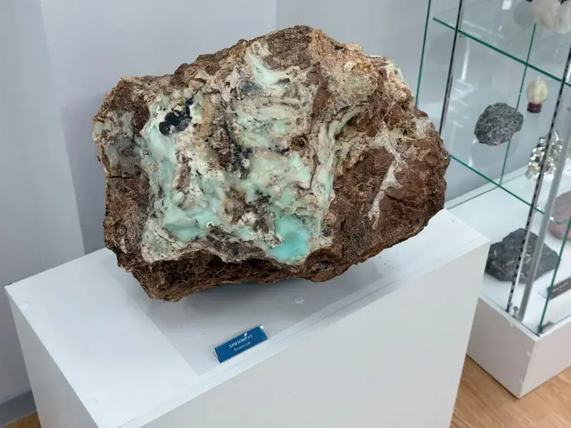 Столичные школьники открыли для себя мир минералов и ценности государственной службы (6)