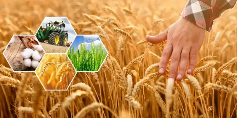 Рост сельского хозяйства в Актюбинской области: положительная динамика способствует экономическому развитию Астане