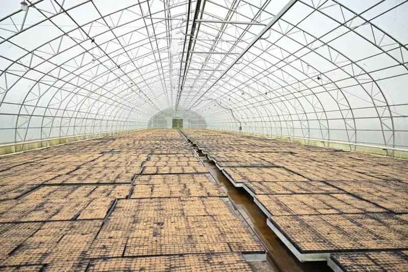 Беречь лес – обязанность каждого поколения: в Семее провели экологическую лекцию для студентов (5)