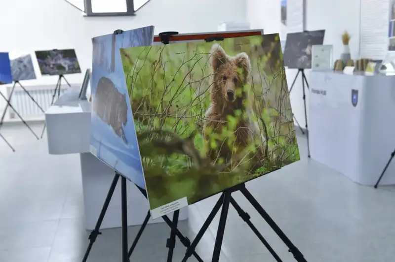 Институт сохранения биоразнообразия в КазНУ для защиты природы и адаптации к климатическим изменениям Астане