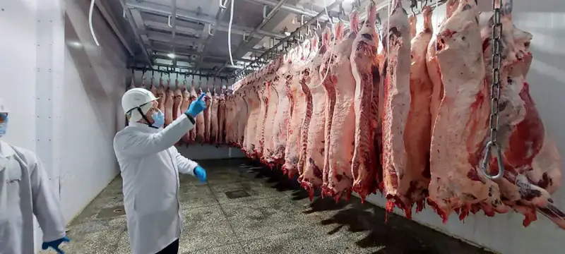 Еще 4 казахстанских предприятия включены в Реестр импортеров ОАЭ (2)