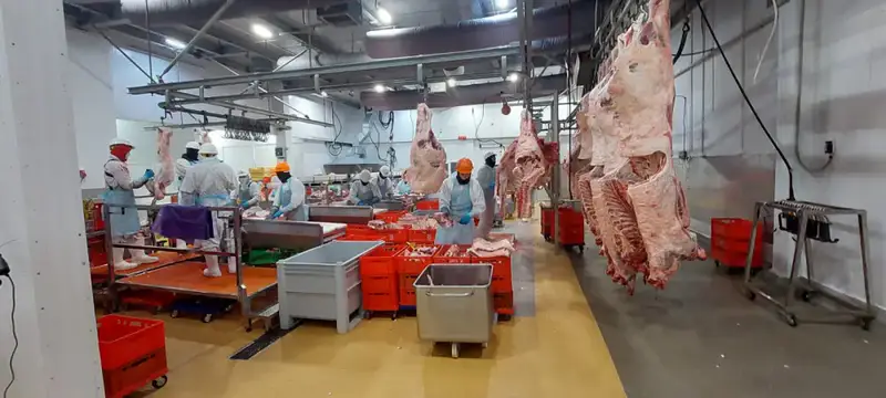 Еще 4 казахстанских предприятия включены в Реестр импортеров ОАЭ (6)