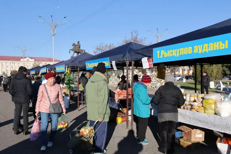 Ербол Карашукеев проверил цены и ассортимент на ярмарке в Таразе (5)