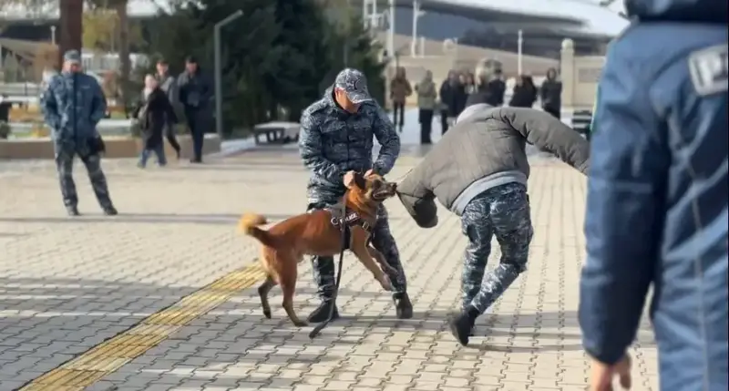Собака-полицейский демонстрирует навыки на встрече с студентами в Жетысу Астане
