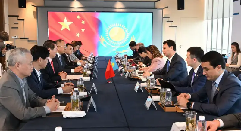 Дархан Сатыбалды обсудил перспективы сотрудничества с китайской корпорацией Yuexing Group (7)