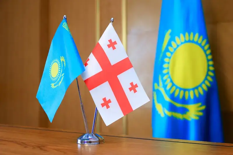 Аким Карагандинской области встретился с послом Грузии (2)