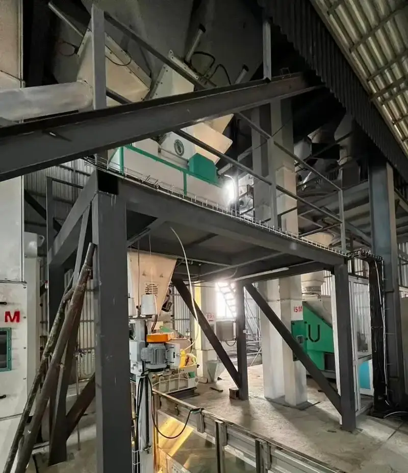 На Панфиловский район приходится 55% выращиваемой в Жетісу кукурузы (9)